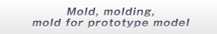 Mold, molding, mold for prototype model