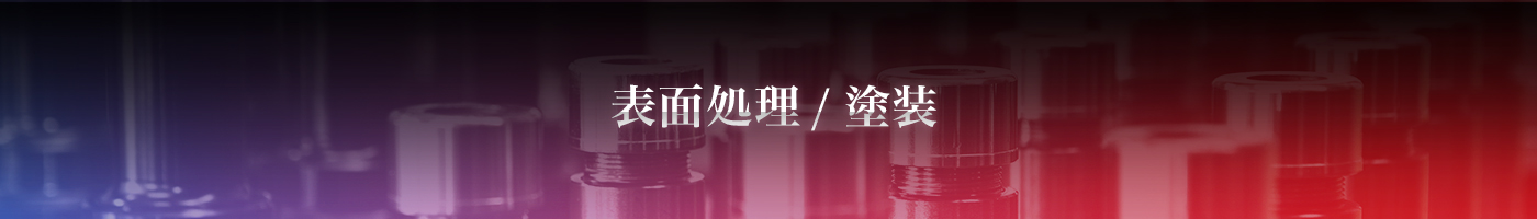 表面処理/塗装